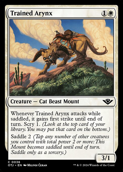 CS-mtg-112803