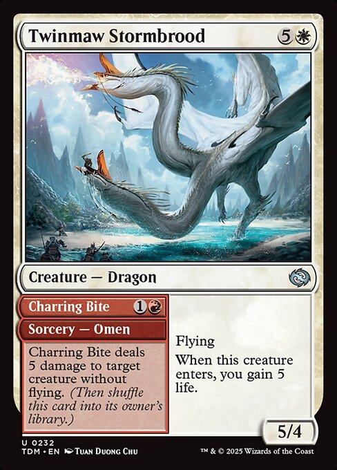 CS-mtg-112856