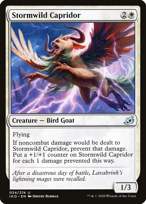 CS-mtg-113053