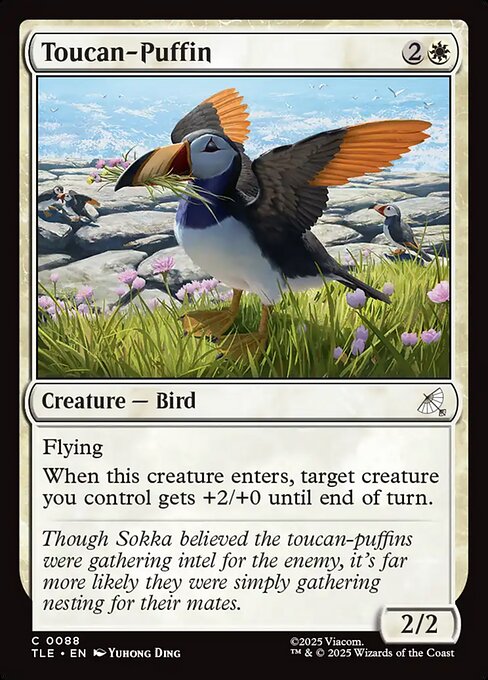 Avatar: The Last Airbender Eternal - 88 - Toucan-Puffin - Common