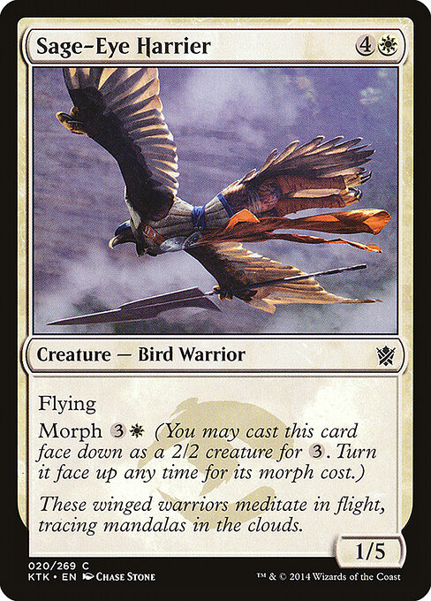 CS-mtg-113261
