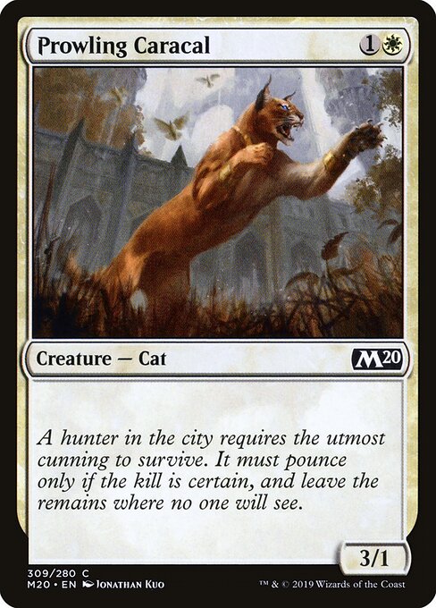 CS-mtg-113388