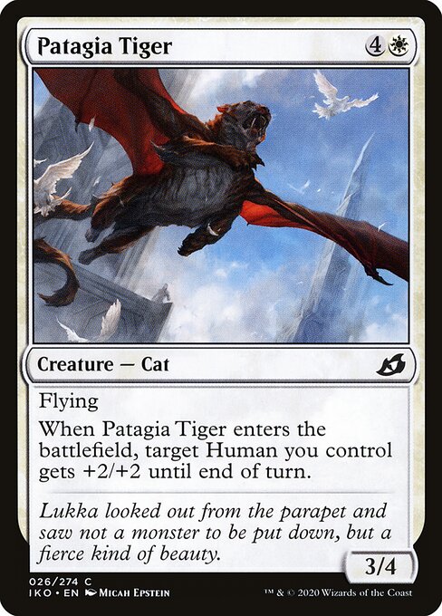 CS-mtg-113452