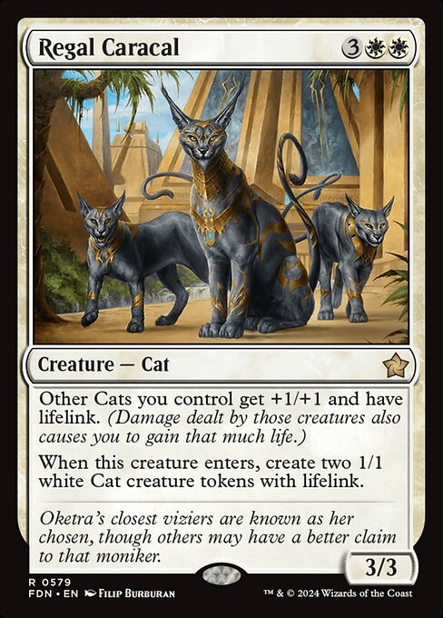 CS-mtg-113503