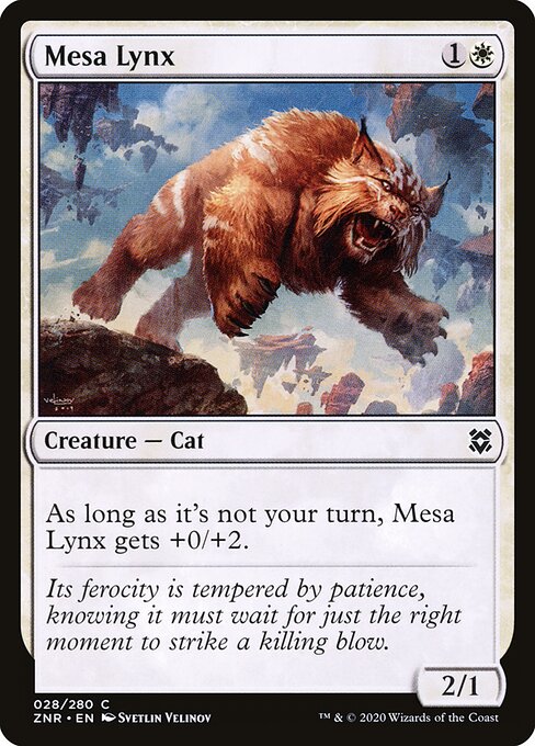 CS-mtg-113611
