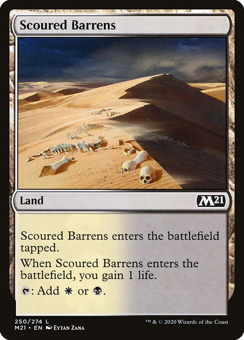 Core Set 2021 - 250 - Scoured Barrens - Common