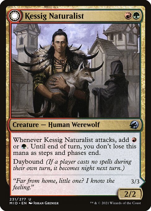 Innistrad: Midnight Hunt - 231 - Kessig Naturalist // Lord of the Ulvenwald - Uncommon