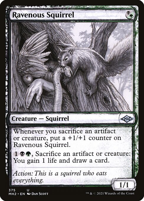 Modern Horizons 2 - 375 - Ravenous Squirrel - Uncommon