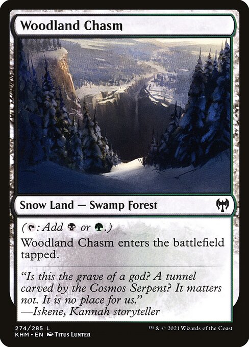 Kaldheim - 274 - Woodland Chasm - Common