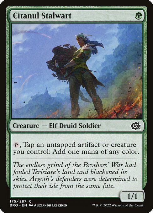 The Brothers' War - 175 - Citanul Stalwart - Common
