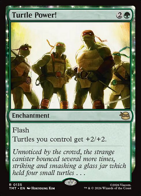 Teenage Mutant Ninja Turtles - 135 - Turtle Power! - Rare