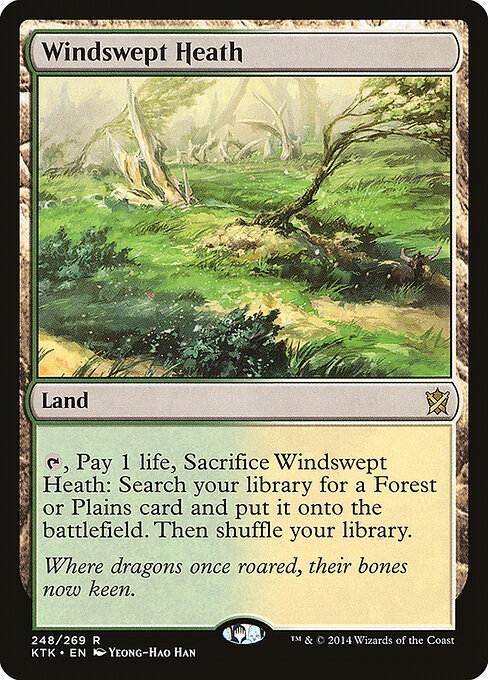 Khans of Tarkir - 248 - Windswept Heath - Rare