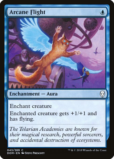 Dominaria - 43 - Arcane Flight - Common