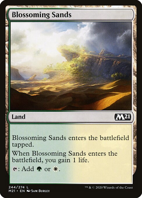 CS-mtg-301027