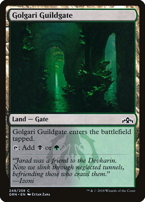 Guilds of Ravnica - 249 - Golgari Guildgate - Common