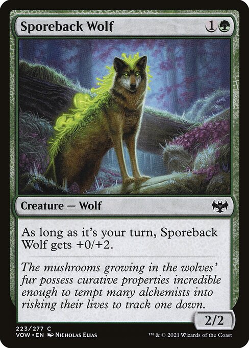 CS-mtg-301729