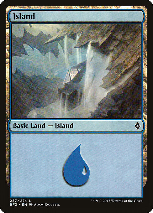CS-mtg-302607