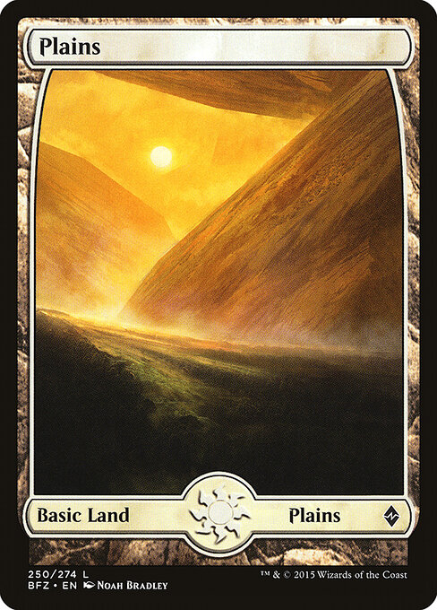CS-mtg-302619