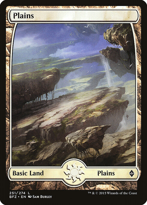 CS-mtg-302630