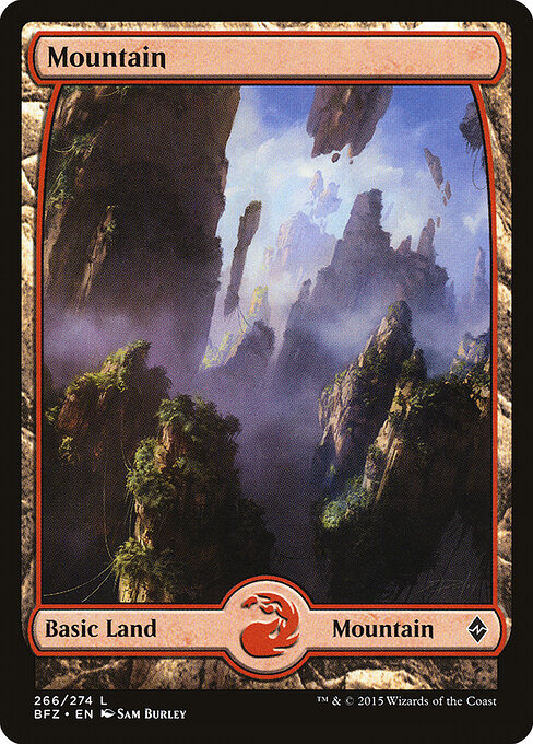 CS-mtg-302631