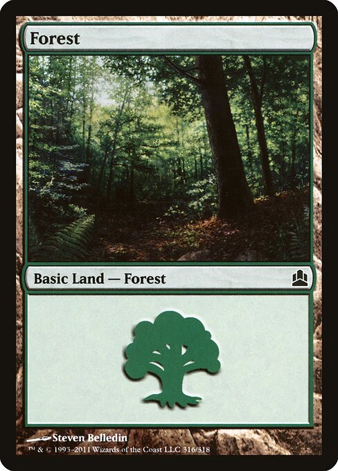 CS-mtg-302648