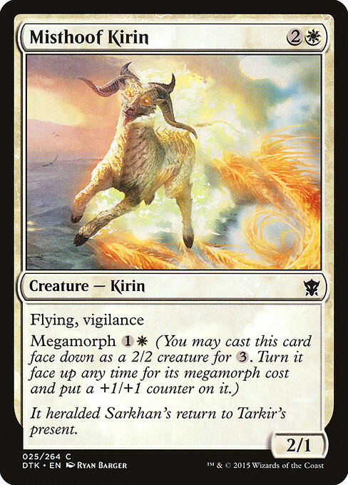 CS-mtg-302730