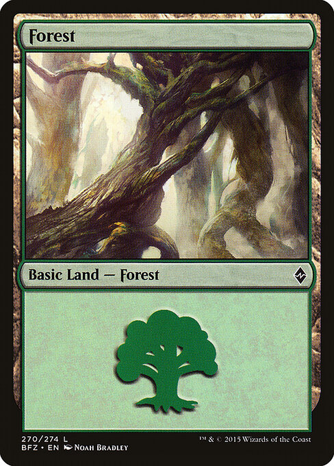 Battle for Zendikar - 270a - Forest - Common
