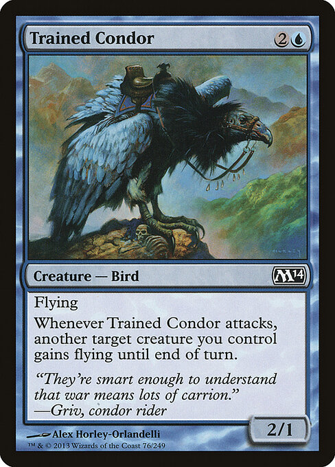 CS-mtg-302951