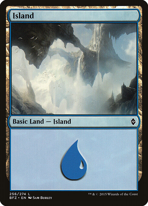 CS-mtg-303036