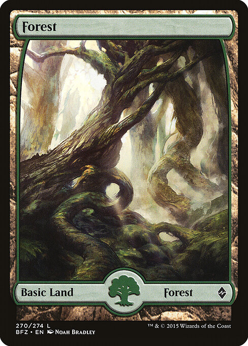 Battle for Zendikar - 270 - Forest - Common