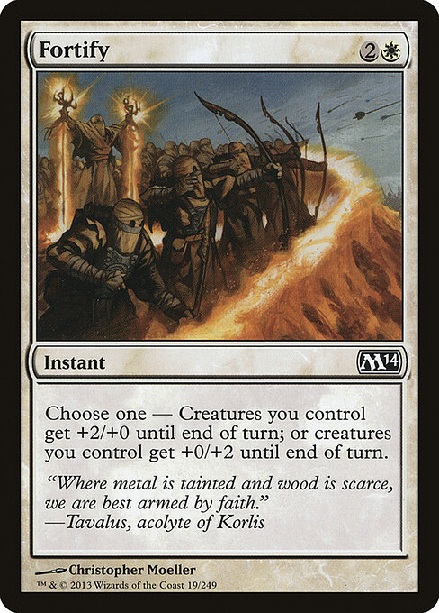 Magic 2014 - 19 - Fortify - Common