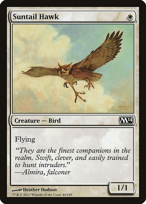 Magic 2014 - 40 - Suntail Hawk - Common
