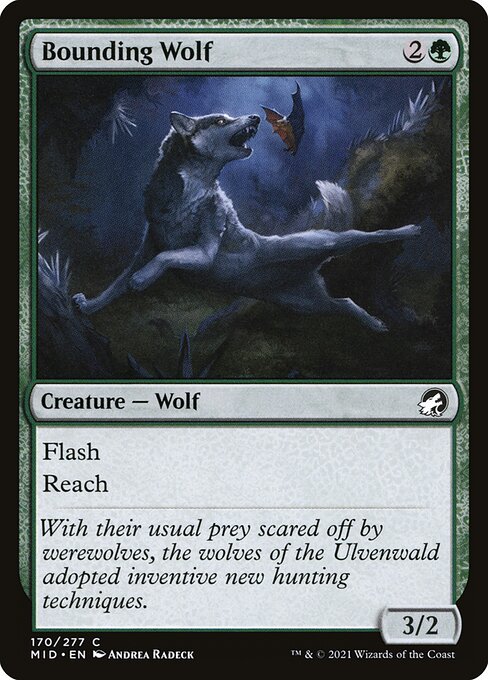 Innistrad: Midnight Hunt - 170 - Bounding Wolf - Common