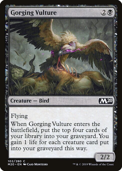 Core Set 2020 - 102 - Gorging Vulture - Common