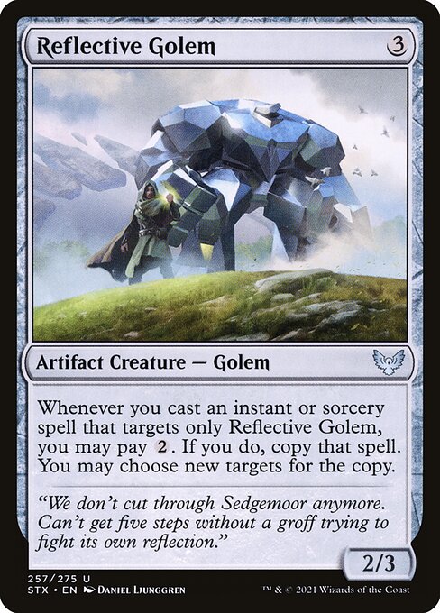 CS-mtg-305879