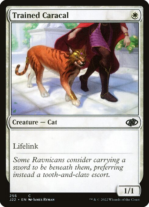 CS-mtg-306354