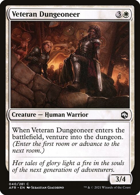 Adventures in the Forgotten Realms - 40 - Veteran Dungeoneer - Common - Foil