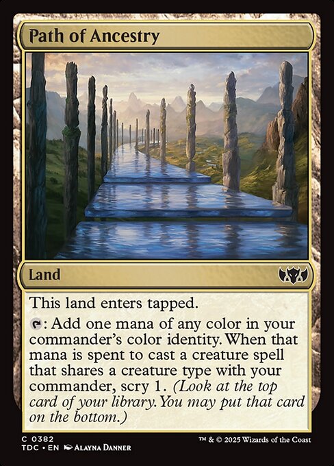 CS-mtg-310699