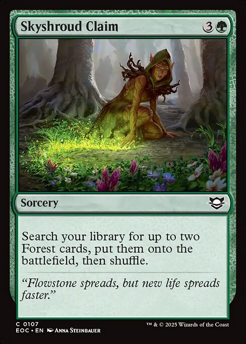 CS-mtg-311207