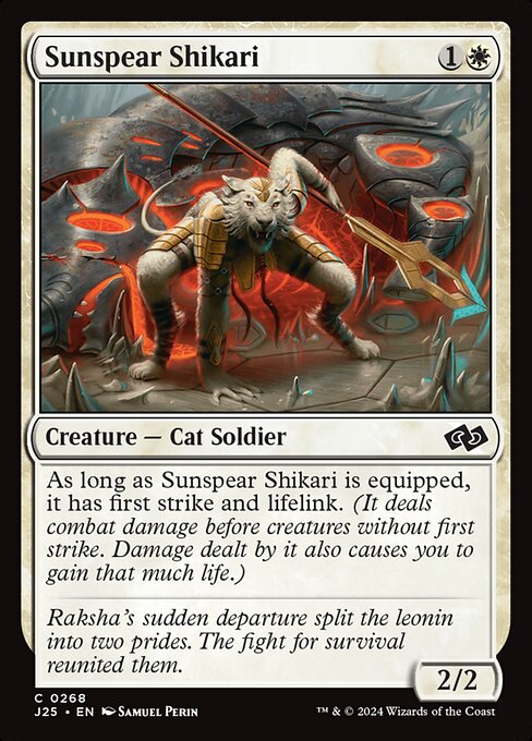 CS-mtg-311410
