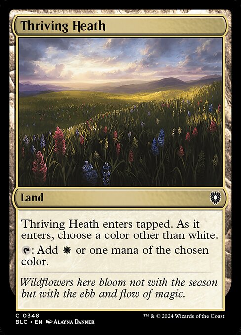 CS-mtg-311634