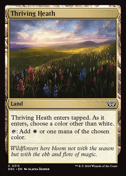 CS-mtg-311635