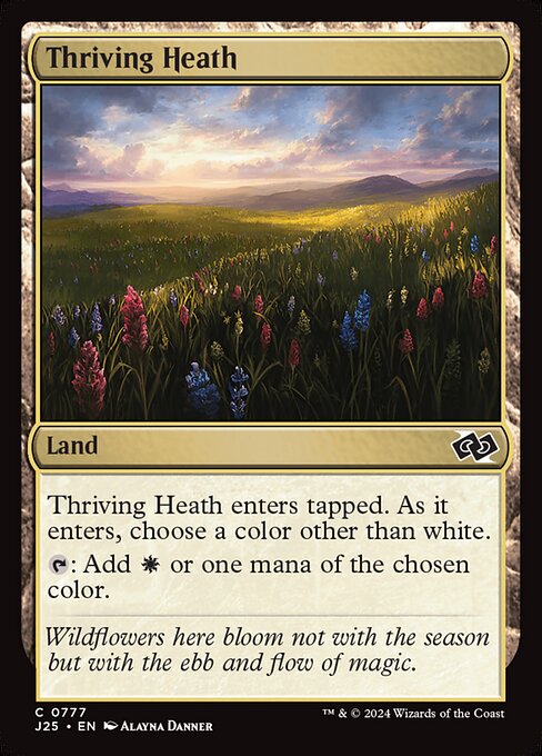 CS-mtg-311636