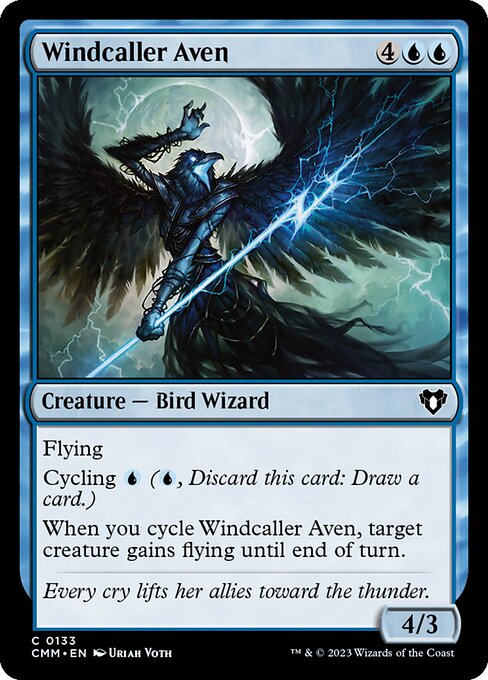 CS-mtg-311933