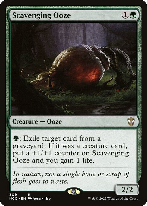 CS-mtg-364646