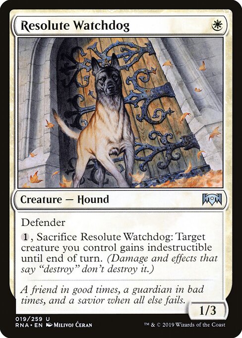 Ravnica Allegiance - 19 - Resolute Watchdog - Uncommon