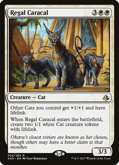 Amonkhet - 24 - Regal Caracal - Rare