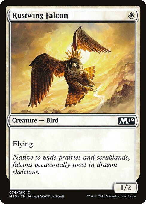 Core Set 2019 - 36 - Rustwing Falcon - Common