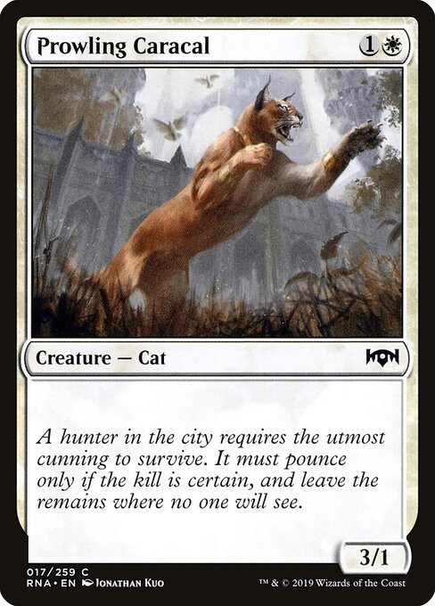 Ravnica Allegiance - 17 - Prowling Caracal - Common