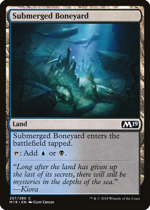 Core Set 2019 - 257 - Submerged Boneyard - Common